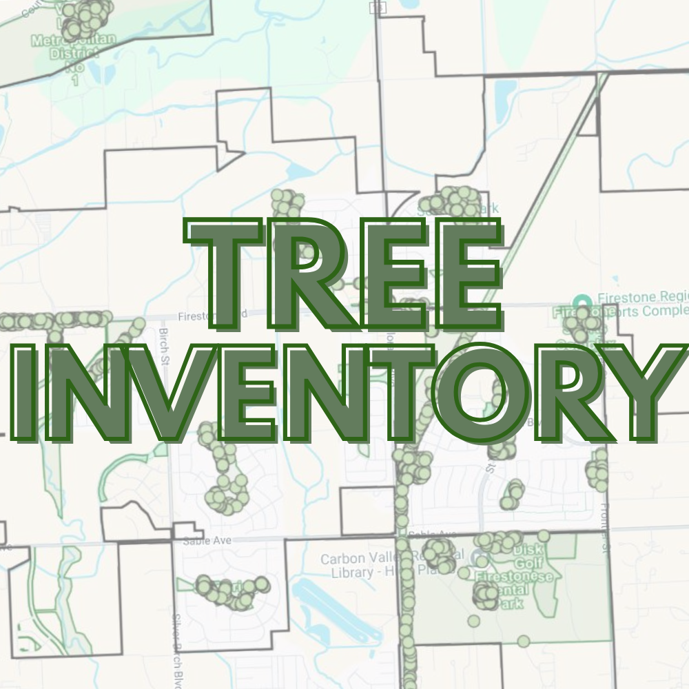 Tree Inventory Icon