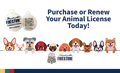 Spotlight_2022_PetLicense